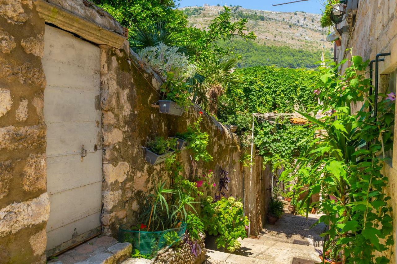 Old Town House With Floor Heating & Lush Private Garden Villa ดูบรอฟนิก ภายนอก รูปภาพ