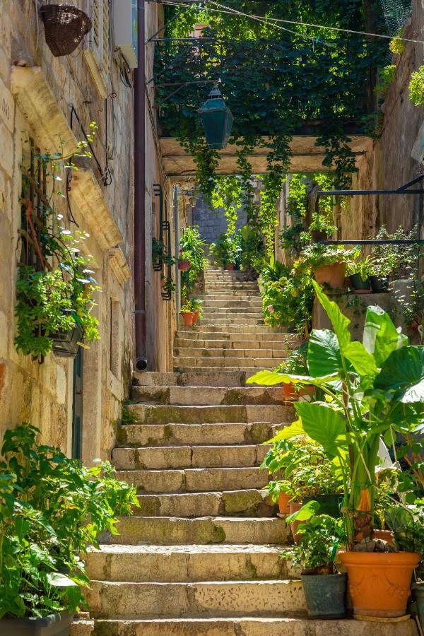 Old Town House With Floor Heating & Lush Private Garden Villa ดูบรอฟนิก ภายนอก รูปภาพ