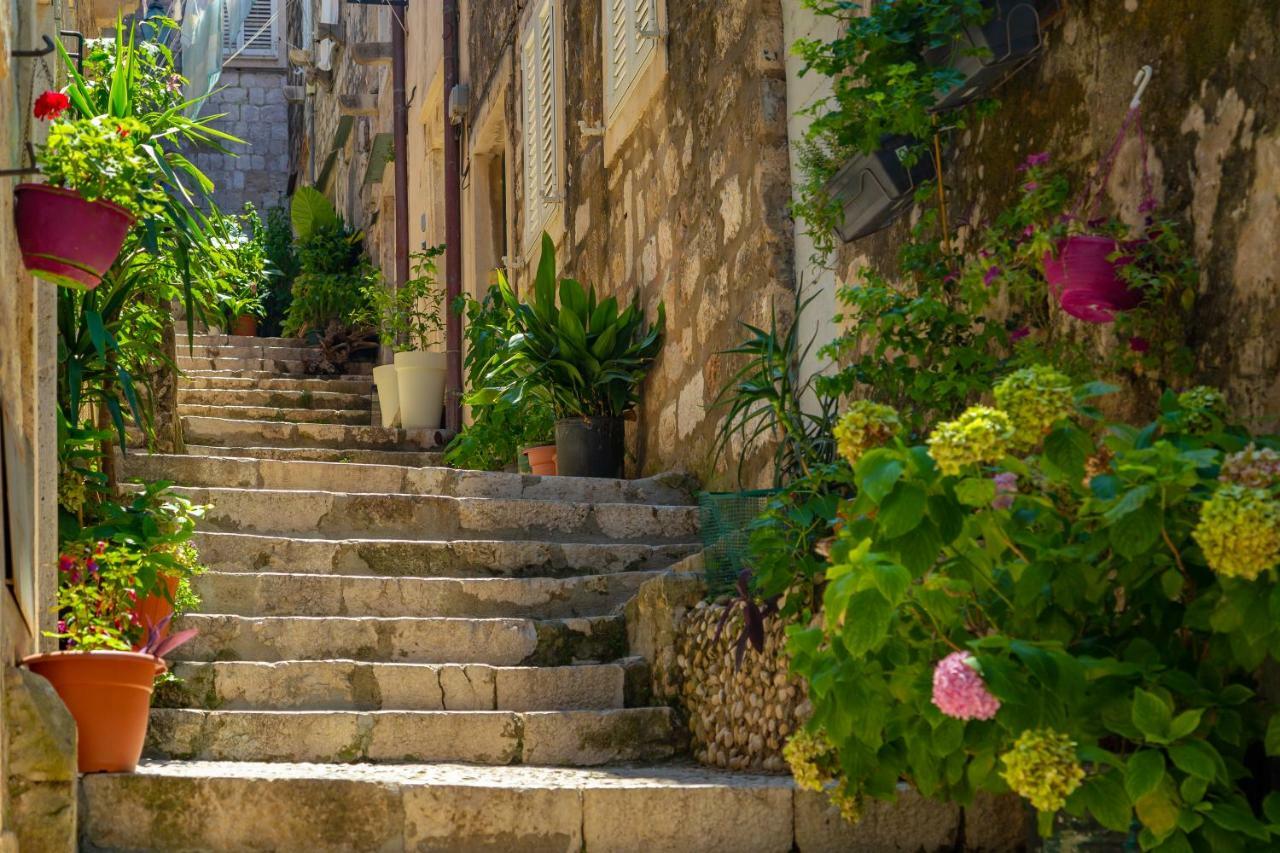 Old Town House With Floor Heating & Lush Private Garden Villa ดูบรอฟนิก ภายนอก รูปภาพ
